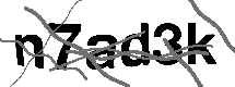 Loading CAPTCHA Image...